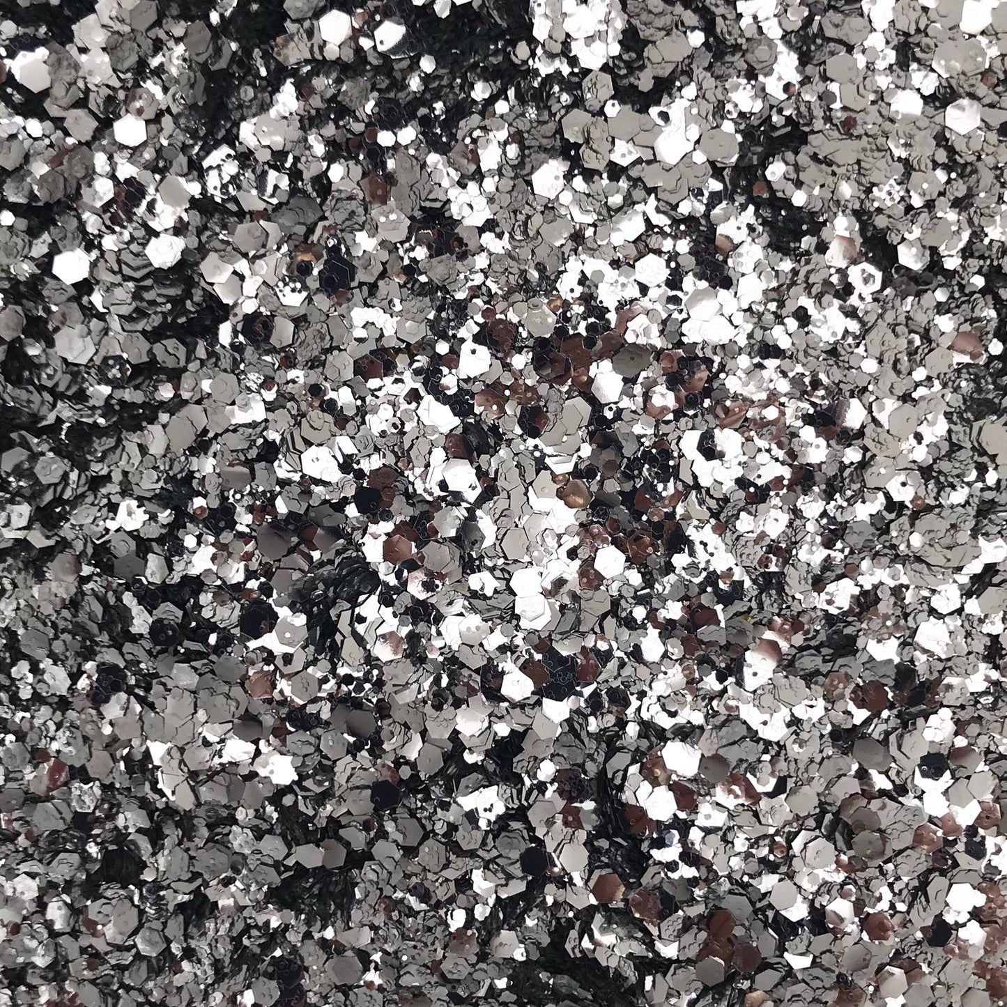 DISCO SILVER BIO GLITTER